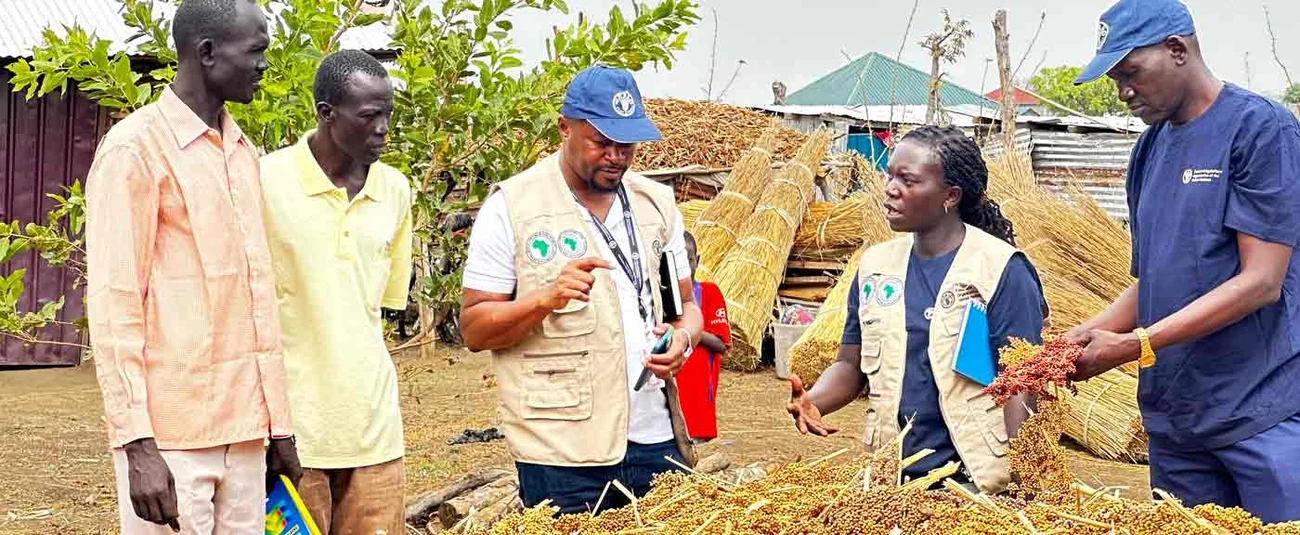 SUPPLY OF SEEDLINGS, FARM TOOLS AND EQUIPMENTS PHASE 01 PHASE 02 (UPPER NILE - YABIO )  UN JUBA-09875363 